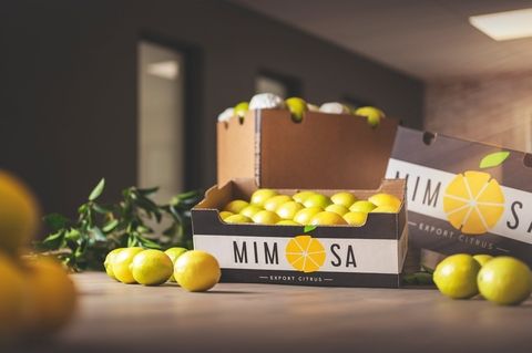 mimosa packhouse kirkwood hlb industrial photography commercial south africa photographer professional
