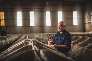 quantro wool hlb photography professional portrait port elizabeth south africa photographer